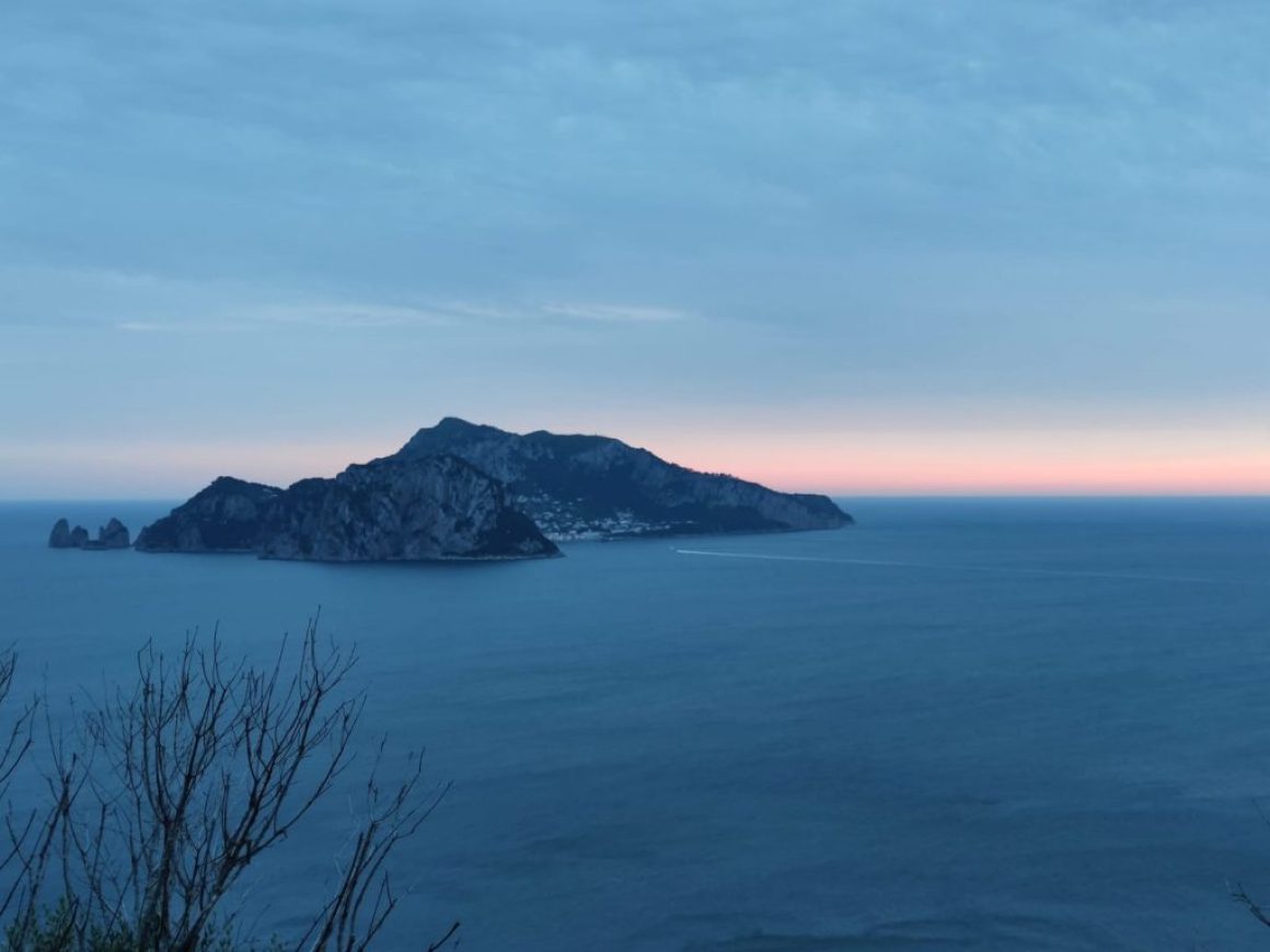 afccba75-e97b-42f6-a85b-843a0fd53aae