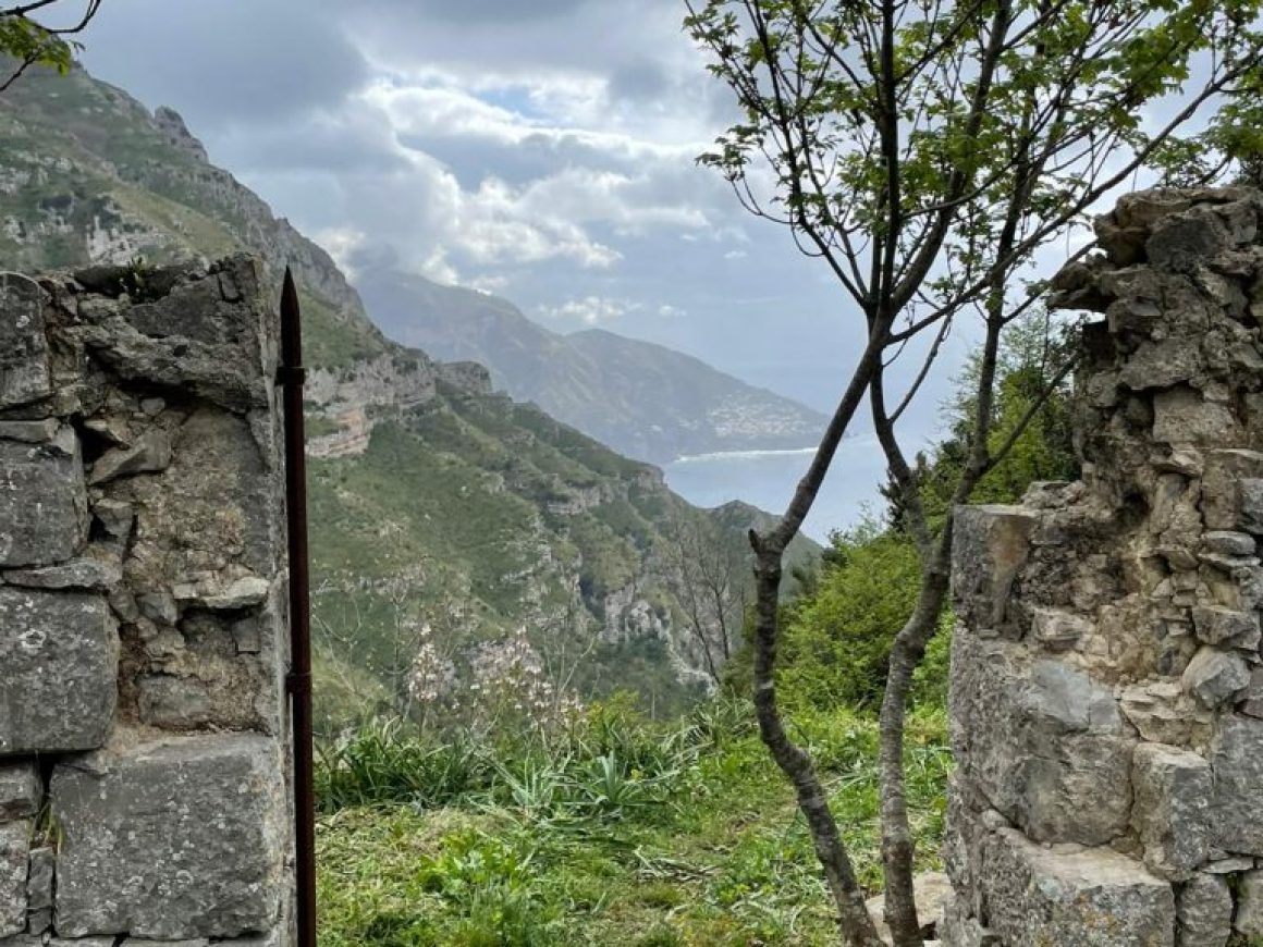 66a2f2b7-accb-4786-b9ba-da0da2b65abf