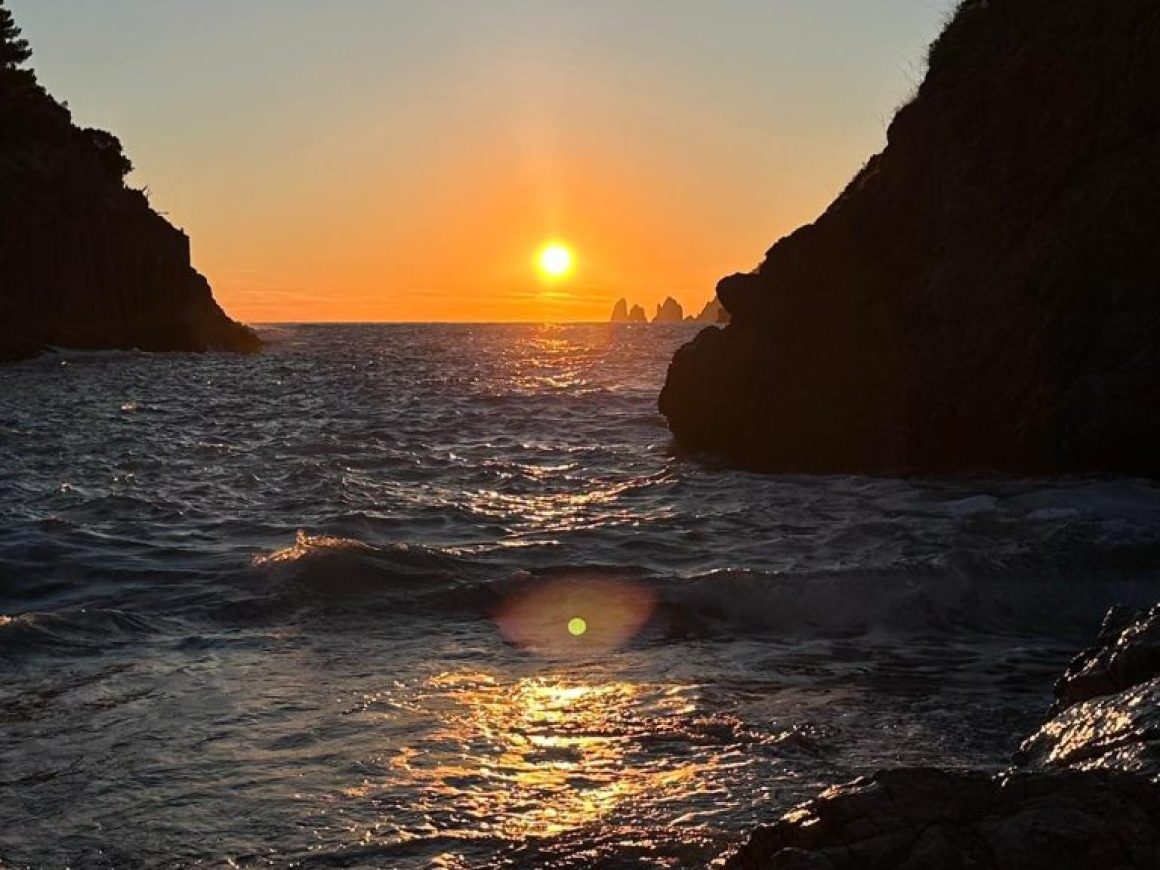 1a846c37-e494-410c-bcd1-6e28342d44b9