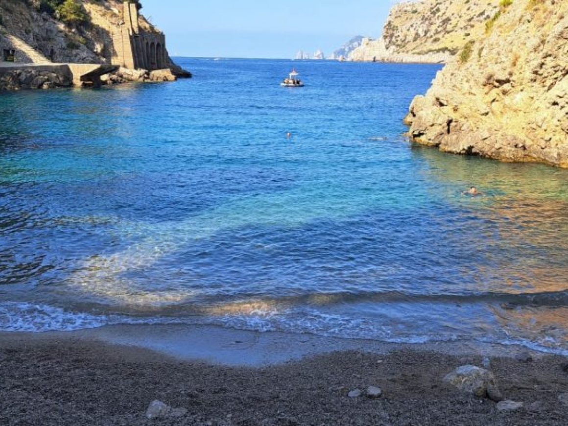 56e3968c-760e-40b7-810a-c5e56b6938f6