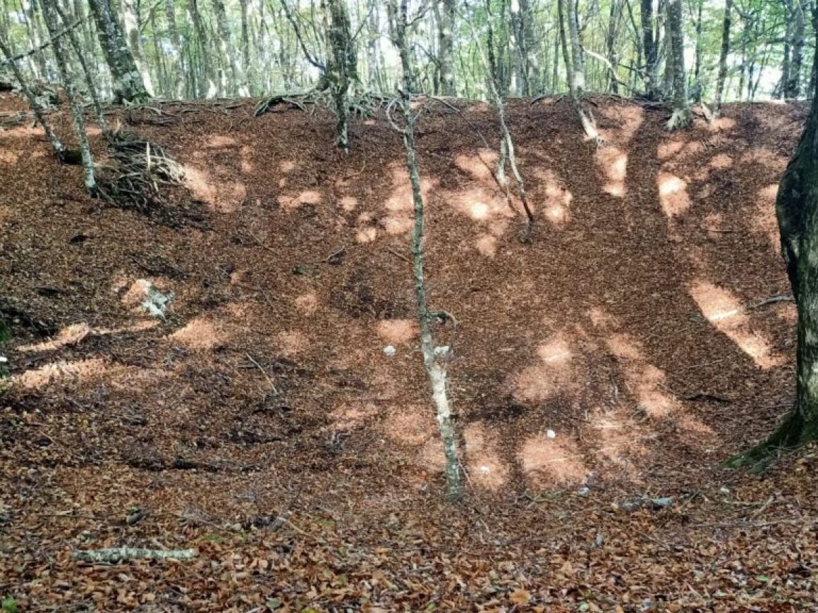 5af24aa0-222e-4c0f-9050-fd48a079ab15