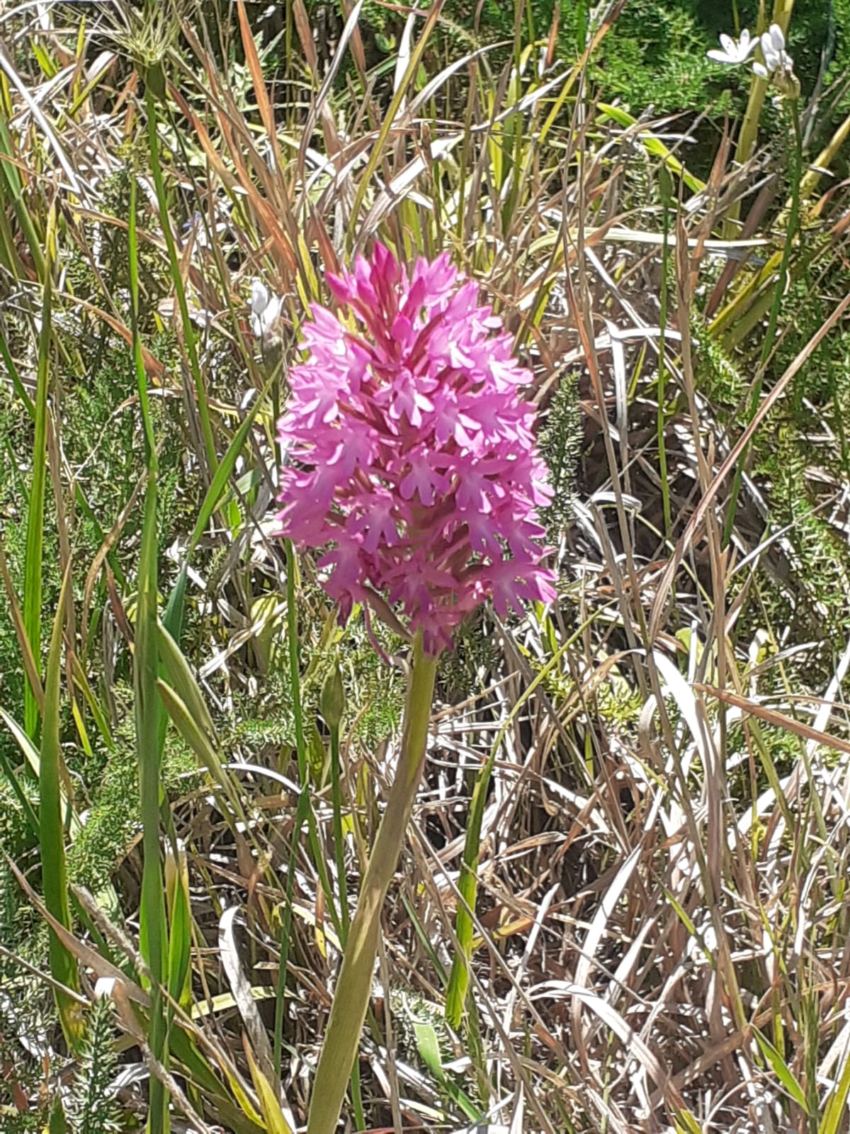 eea49ec6-a750-444c-b109-716848375f97