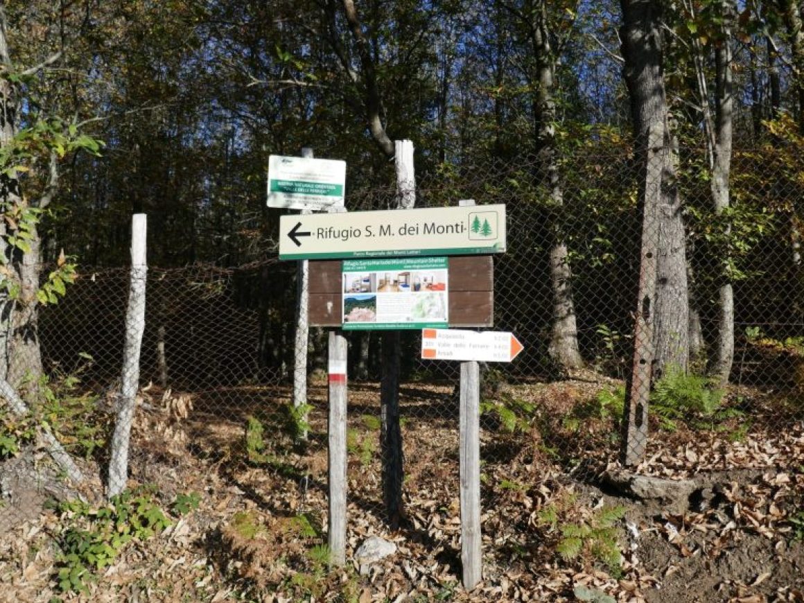 P1060887