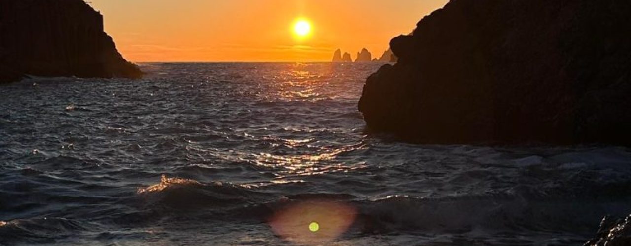 1a846c37-e494-410c-bcd1-6e28342d44b9