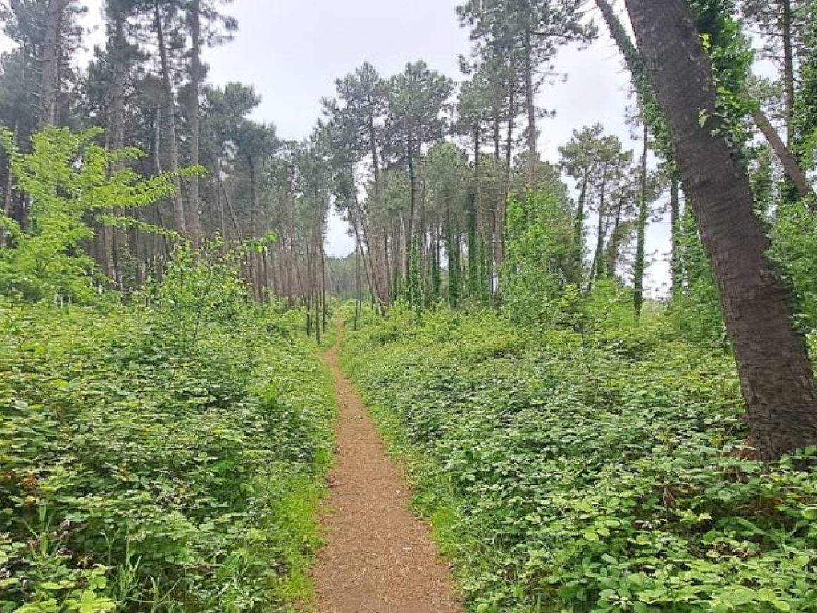 0ebf4d68-71da-4fa8-8d15-fb02cd98ea96