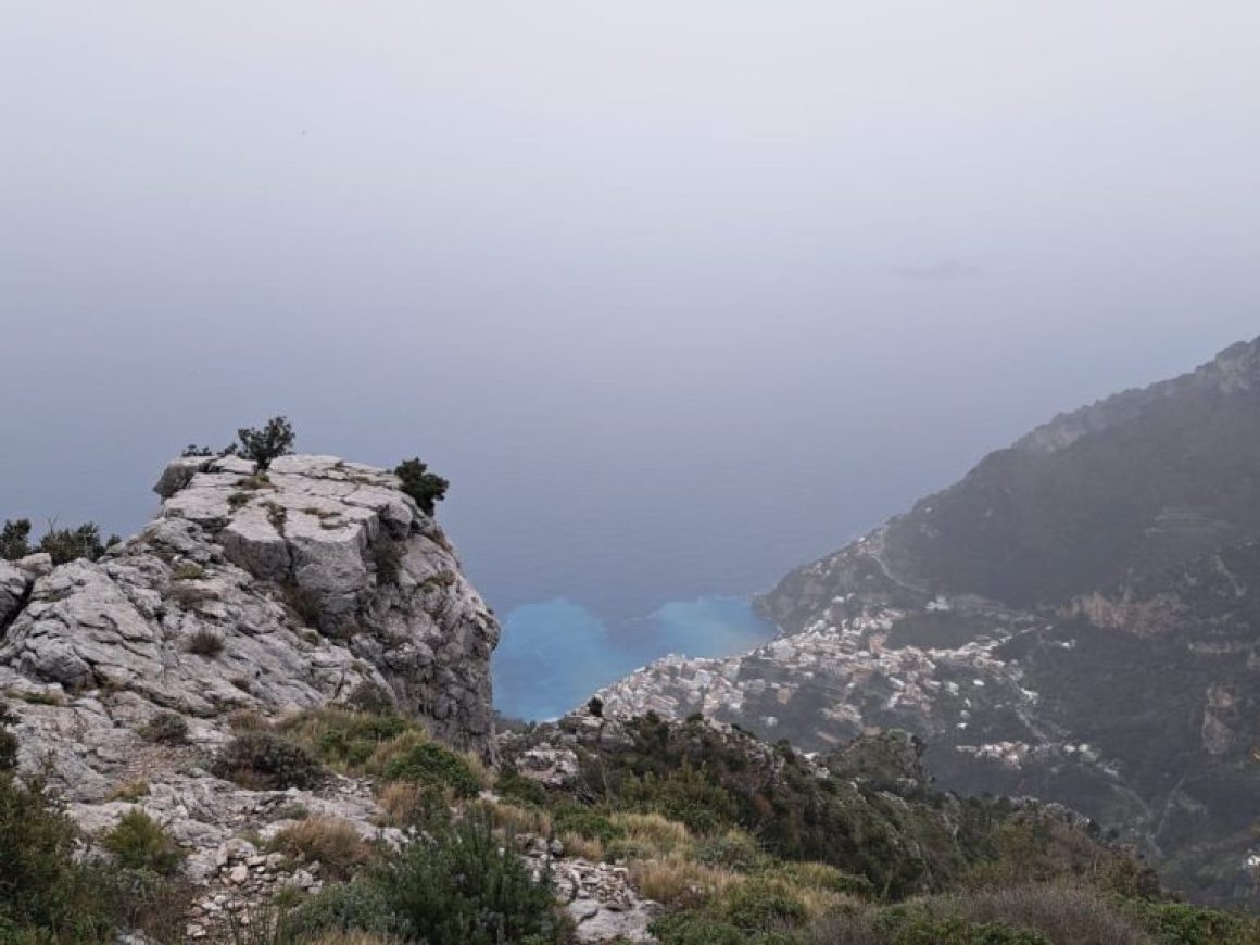 882d6afd-f845-4b1d-8018-82a12f82601f