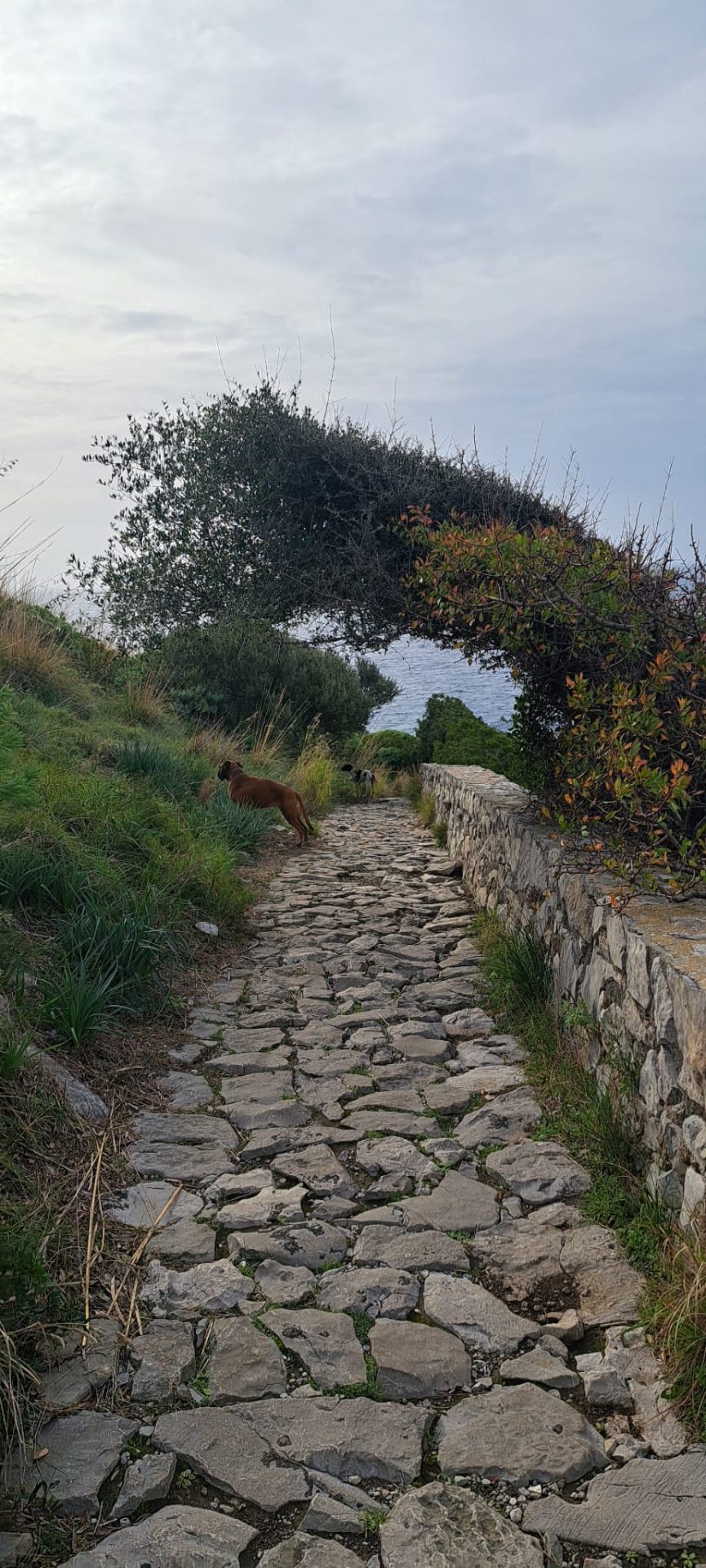 3e52749e-a045-4072-a6c1-a671be9176bd