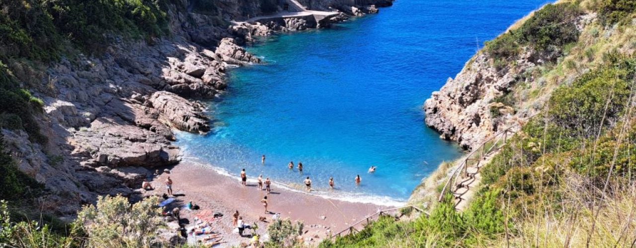 9f98f9ce-e2b4-4786-b3a6-e1fbf42e3813