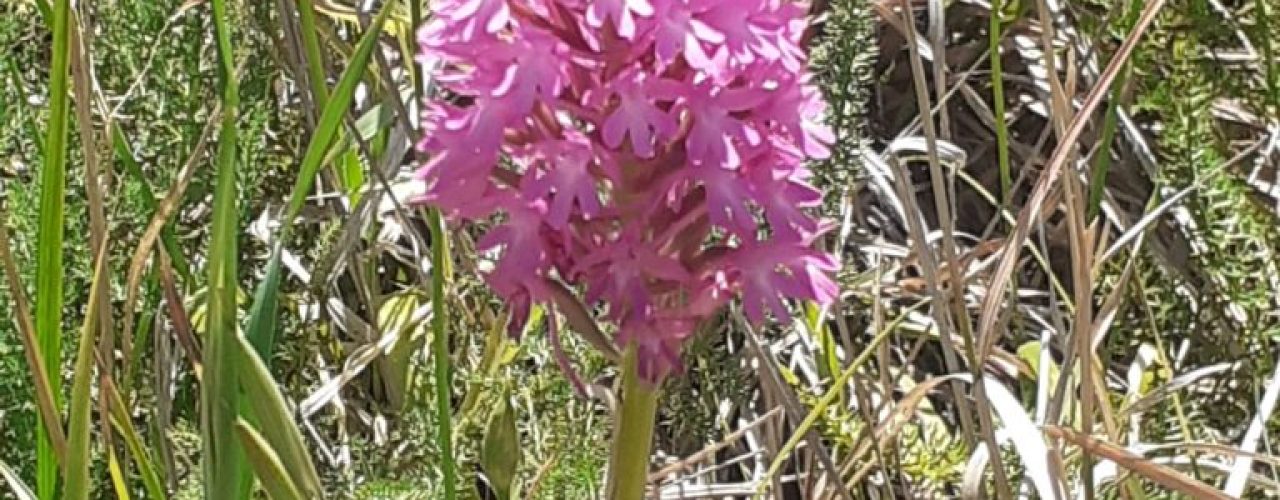 eea49ec6-a750-444c-b109-716848375f97