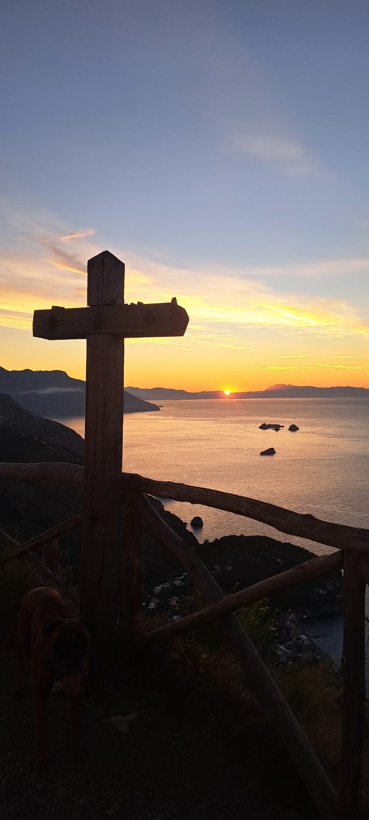 6e6b9e88-ebae-4af8-b51f-1291d63f74b1