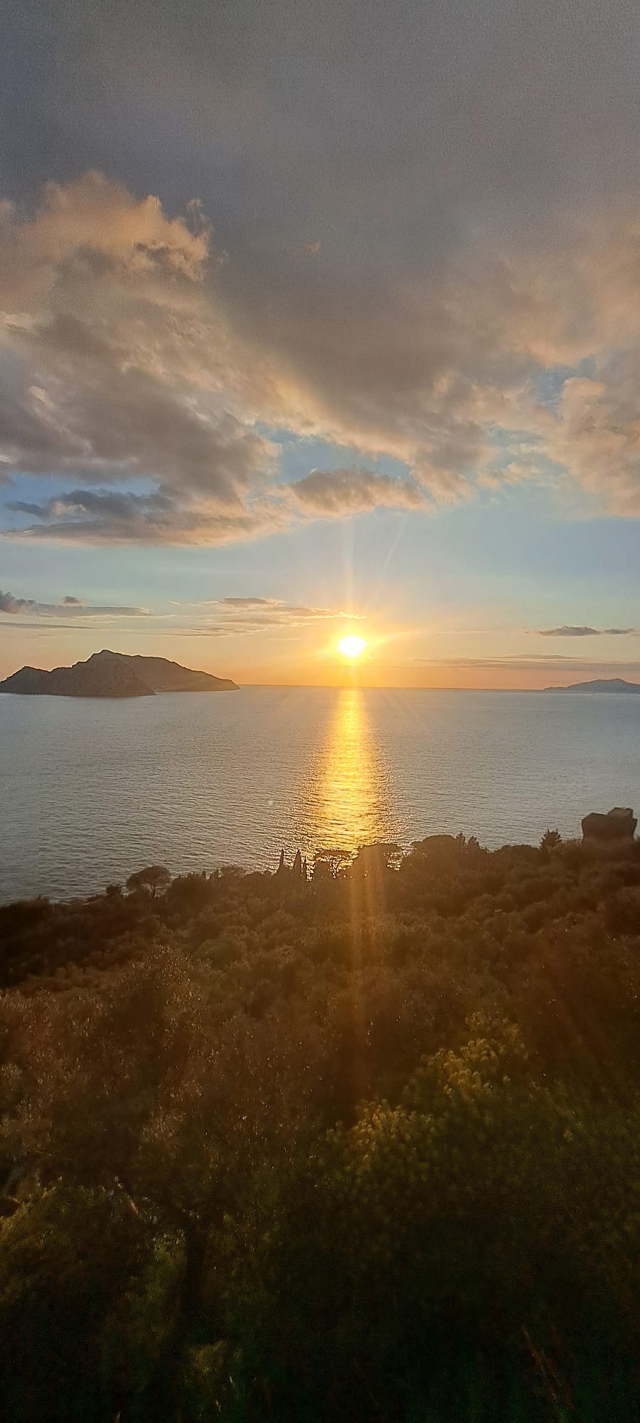 7924eac5-9fa7-42d8-a991-e8eff2904472